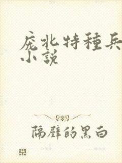 庞北特种兵穿越小说