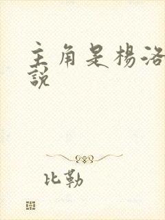 主角是杨洛的小说