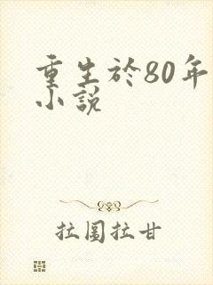 重生于80年代小说