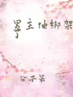 男主他绑架错人了