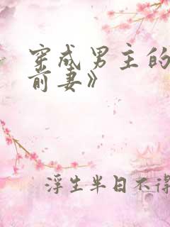 穿成男主的炮灰前妻》