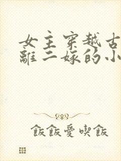 女主穿越古代和离二嫁的小说