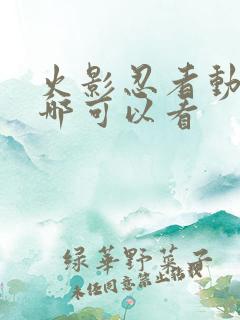 火影忍者动漫在哪可以看