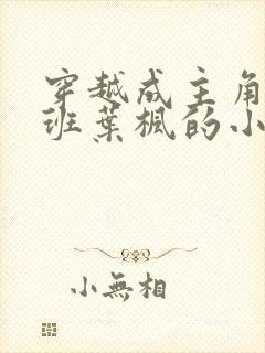 穿越成主角小跟班叶枫的小说