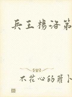 兵王杨洛第二部