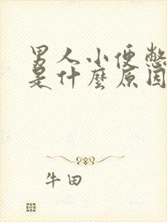 男人小便憋不住是什么原因