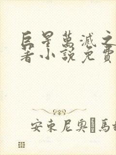 巨星万灭之殇原著小说免费阅读