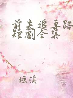 前夫追妻路漫漫短剧全集