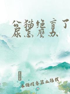 公猫绝育了还乱尿怎么办