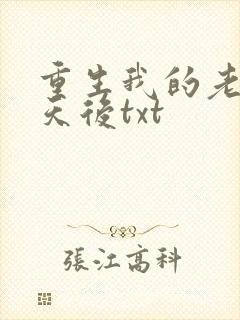重生我的老婆是天后txt