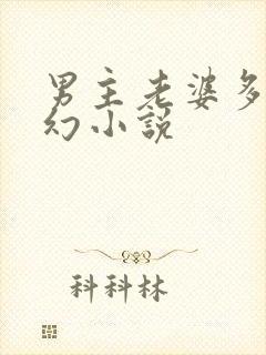 男主老婆多的玄幻小说