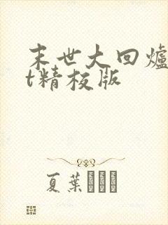 末世大回炉txt精校版