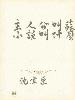 主人公叫苏泽的小说叫什么名字