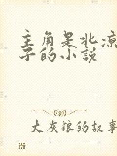 主角是北凉王世子的小说