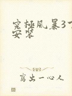 究极风暴3下载安装