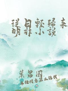 从日轻归来的路明非小说