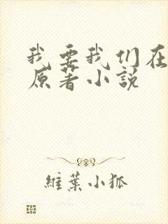 我要我们在一起原著小说