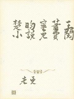 楚昀宁萧王穿越小说免费阅读