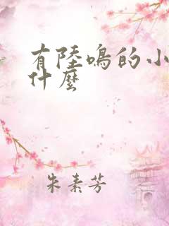 有陆鸣的小说叫什么