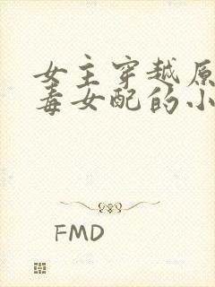 女主穿越原耽恶毒女配的小说