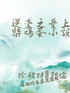 逆袭之爱上情敌柴鸡蛋小说完全版