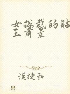 女总裁的贴身兵王肃晨