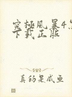 究极风暴4怎么下载正版