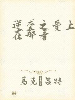 逆袭之爱上情敌在哪看