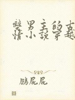 双男主的古代言情小说穿越