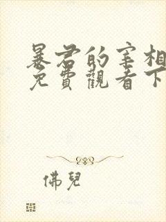 暴君的宰相漫画免费观看下拉式