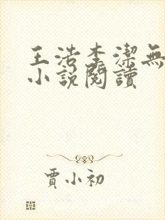 王浩李洁无删减小说阅读