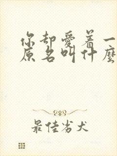 你却爱着一个他原名叫什么