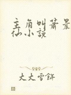 主角叫萧晨的修仙小说