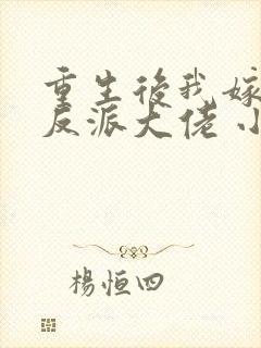 重生后我嫁给了反派大佬 小说