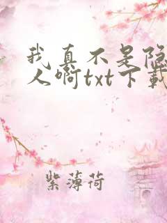 我真不是隐世高人啊txt下载全集下载