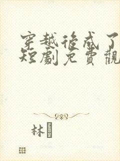 穿越后成了驸马短剧免费观看