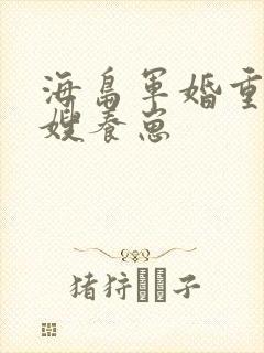 海岛军婚重生军嫂养崽