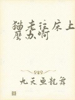 猫老往床上尿怎么办啊