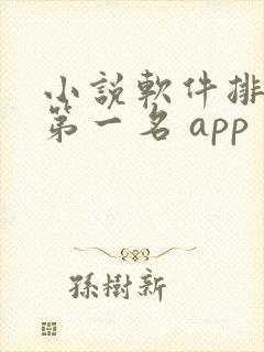 小说软件排行榜第一名 app