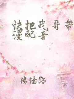 快把我哥带走动漫配音