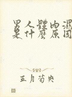 男人体内湿气重是什么原因引起的