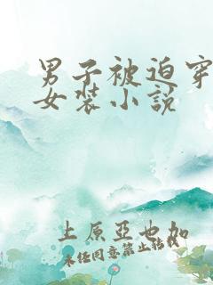 男子被迫穿束腰女装小说