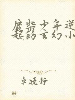 废柴少年逆天崛起的玄幻小说