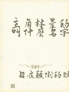 主角林晨的小说叫什么名字