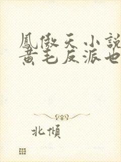 凤傲天小说里的黄毛反派也想要幸福