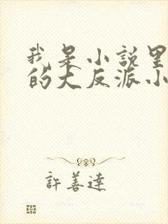 我是小说里共同的大反派小说免费