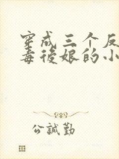 穿成三个反派恶毒后娘的小说