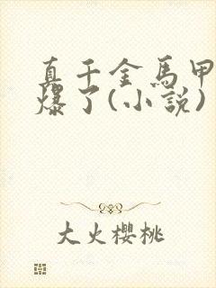 真千金马甲又被爆了(小说)