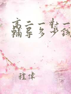 高二一对一数学辅导多少钱