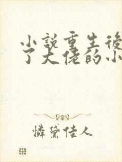 小说重生后我成了大佬的小祖宗